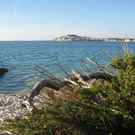 Ingrid Rogoznica Apartamento *